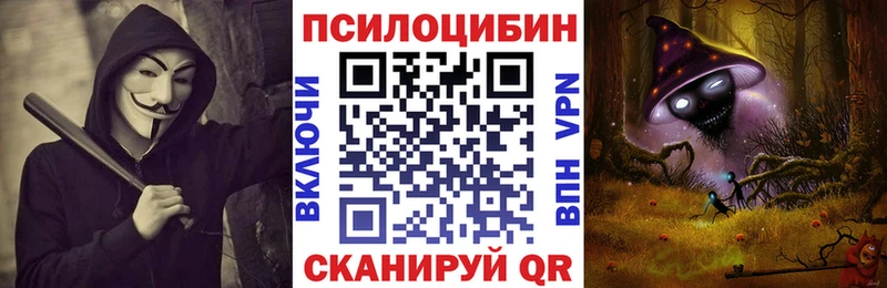 Псилоцибиновые грибы прущие грибы Аргун